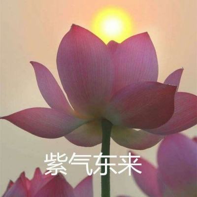 绘真妙笔千山网易版下载